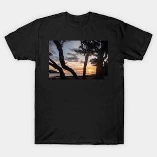 Mulberry Grove Beach Sunset. T-Shirt